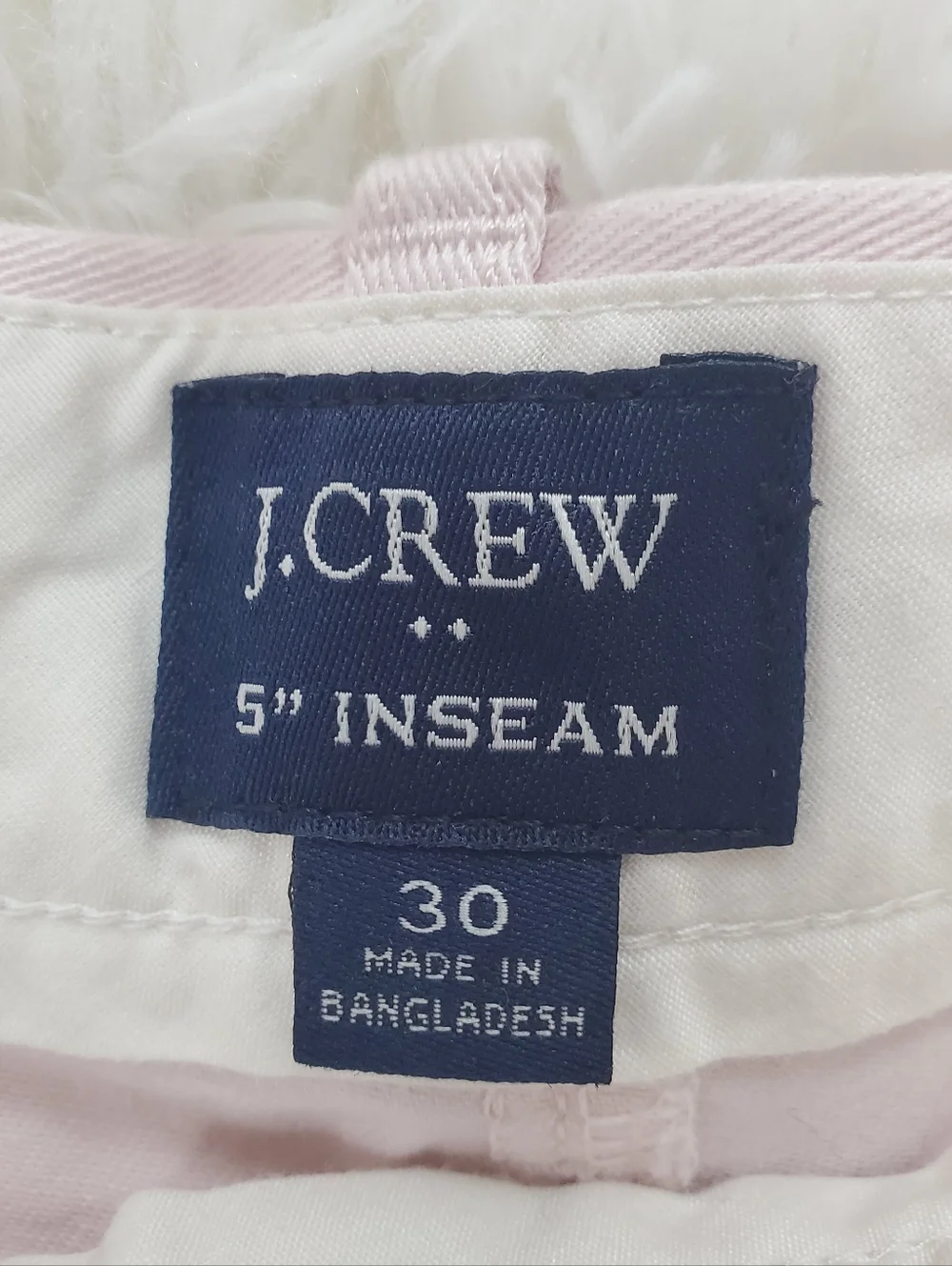J. Crew Waist Size 30 Pink Shorts With Front And Back Pockets
